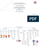 Mapa Conceptual de Ulceras Por Presion 1