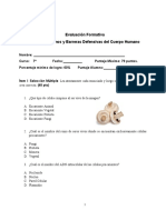 Evaluación-Formativa-7-A-7-B-Ciencias-Naturales Oa4-5-6