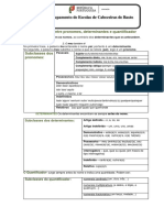 Det Pronomes Quantificadores