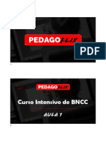 #BNCC - Aula 1 - Slides de Apoio