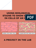 Osmosis, Turgor Pressure and Plamolysis in Onion Cells