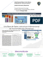 Explicación Práctica 4 - Biología Celular 2021