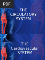 Circulation + Composition of Blood + Vertebrate Heart + Invertebrate Heart + Blood Vessels