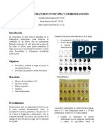 Informe de Laboratorio Embriodiagnosis