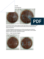 Resultados y Discusión de Salmonella