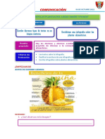 4º C COMUNICACION Escribir Una Infografía para Brindar Información Sobre Una Planta 06 OCTUBRE ROSA