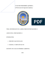 Informe N°1 Seguridad en El Laboratorio Fisicoquimica