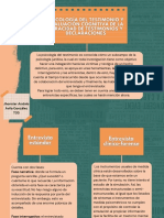 Mapa Conceptual-Psicología Del Testimonio. Jhonnier Avila.