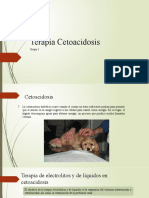 Terapia Electrolitos Cetoacidosis 2