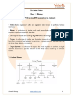 Class 11 Biology Chapter 7 - Revision Notes