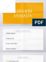 Kindom Animalia