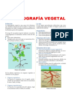 Organografía Vegetal para Tercer Grado de Secundaria