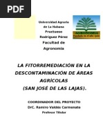 Fitorremediacion en La Descontaminacion de Areas Agricolas