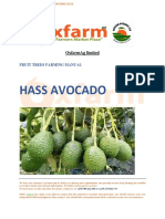 Avocado Hass Manual