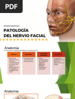 Presentación Nervio Facial Finalizada