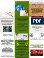 Tetrahidropalmatina Como Efecto Terapéutico en La Coagulación Intravascular Diseminada