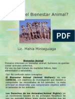 Bienestar Animal