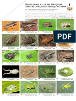 983 Ecuador Amphibians Reptiles of Quimi River 0