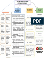 Fases Implementacion de Los Pesv