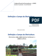 Aula 1 Definição e Campo Da Olericultura (2022)