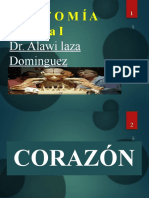 CFC - Corazón 4