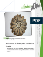 Guía 1. Procedimientos para Determinar y Clasificar Plantas