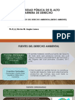 Tema 4 - Fuentes y Principios Del Derecho Del Medio Ambiente