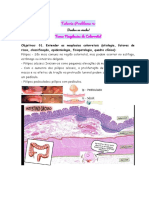 Neoplasias Colorretais