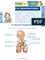 El Aparato Respiratorio para Tercer Grado de Primaria