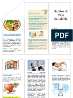 Triptico de Vida Saludable 2