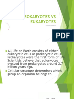 Prokaryotes VS Eukaryotes