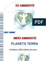 Apresentação - MEIO AMBIENTE