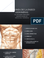 Anatomia de La Pared Abdominal