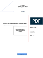 Formato Informe Diagnóstico General de La Empresa