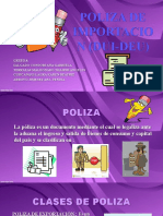 Poliza de Importacion (Dui-Deu)