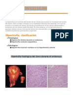 Hipertrofia y Hiperplasia