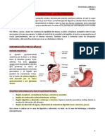 Tema 1. El Sistema Digestivo