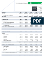 Pro Forma Financial Statement