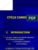 Cycle Cardiaque