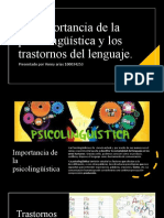 Trabajo Final Psicolinguistica