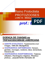 Protozooses 385460