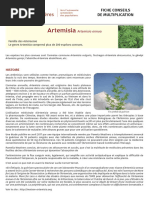 Artemisia Fiche SSF