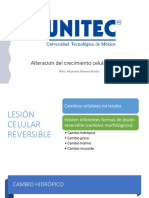 CLASE 4. PRÁCTICA 2. Alteración Del Crecimiento Celular y Tisular