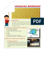 La Contaminación Ambiental para Quinto de Primaria