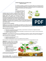 Sistema Endocrino en Los Seres Vivos Guia 4