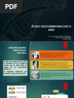 Clase 10 Adn Replicación