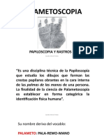 Investigación de Palmetos