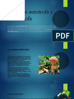 Nutricion Autotrofa y Heterotrofa 333