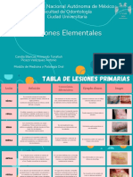 Lesiones Elementales