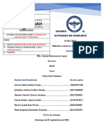 Arbol Del Prpblema - Estrategias de MKT Digital - SIN OBSERVACIONES